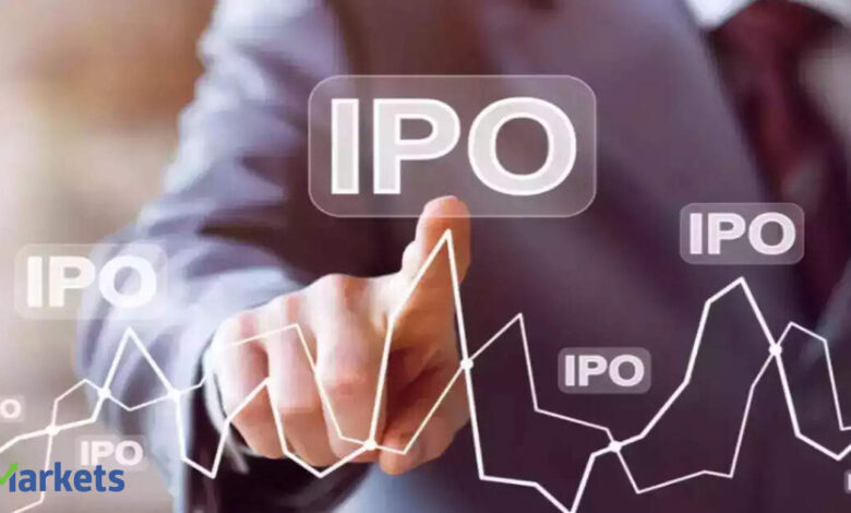 Rs 6,300 crore on offer! Investors brace for IPO storm with 25 new issues opening next week