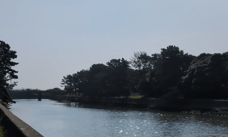 Hamamatsu on the Horizon: Hi-tech Factories, Flying Cars, and Futures in the Making