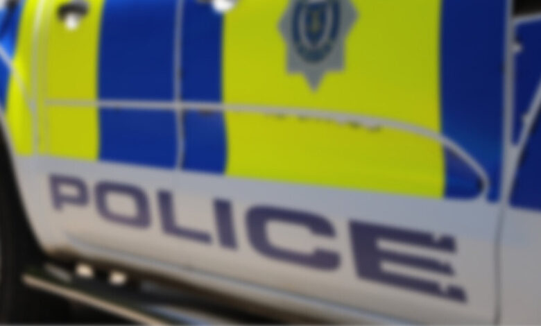 Policing Fit for the Future Policing Fit for the Future