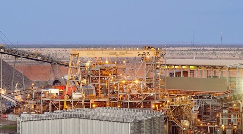 Can Evolution Mining’s (ASX:EVN) Dividend Stability Reveal Its True Competitive Edge?