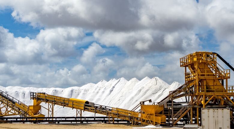 What Standard Lithium (TSXV:SLI)’s US0 Million Equity Raise Means For Shareholders