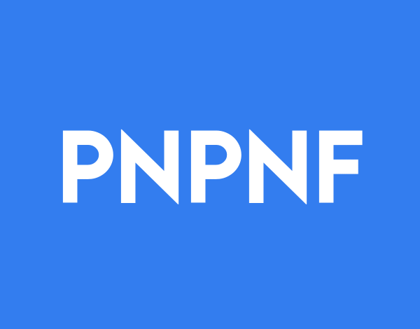 Power Nickel Completes Strategic Spin-Out of Chilean Assets, Shareholders Get Bonus Shares