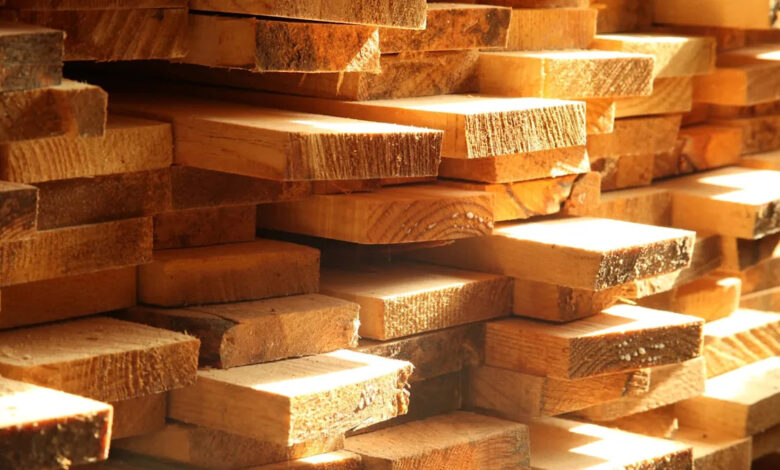 Scientists make incredible breakthrough that could change future of construction: ‘A significant advancement’