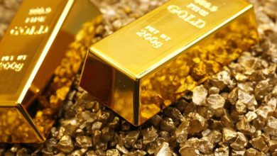 Signature Resources President Acquires 5.5% More Stock