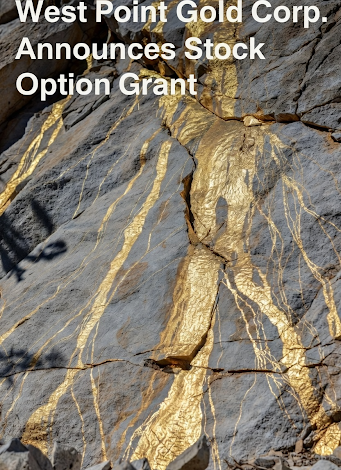 WPGCF) Announces Stock Option Grant