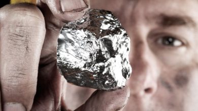 Fortuna Mining (TSX:FVI) Is Up 5.5% After Strong Diamba Sud Feasibility Study Results – Has The Bull Case Changed?