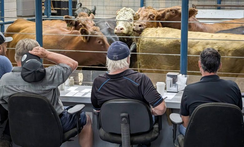 U.S. livestock: Cattle futures lower on falling beef prices, selling
