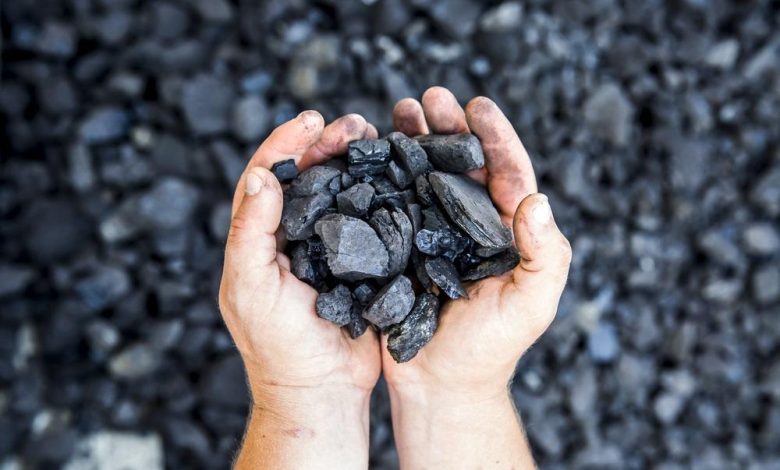 PLS Group Limited Update Draws Market Attention Ahead