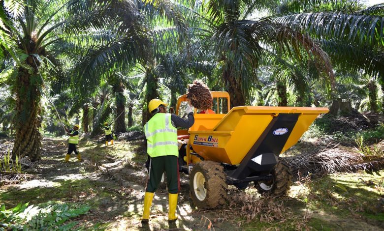 Shaping the futures of estates: Harnessing mechanisation to elevate and future-proof the plantation workforce | Press Releases | Asia