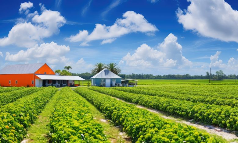 Property tax cuts, elimination would hit Florida’s rural communities hardest