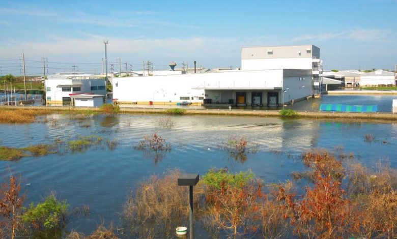 Stocks & ETFs to Invest in Water