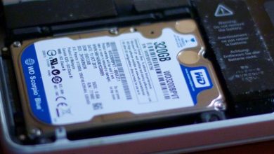 Western Digital Stock And 2 Crypto Infrastructure Picks Retail Investors Should Watch