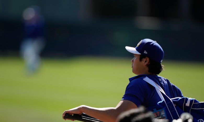 Trade , get  on 2026 World Series futures