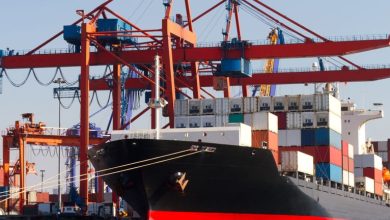 Safe Bulkers (SB) Stock Margins Weaken And Challenge Bullish Earnings Narratives