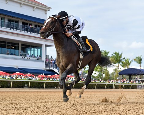 Paladin, Chief Wallabee Close at 8-1 in Derby Futures
