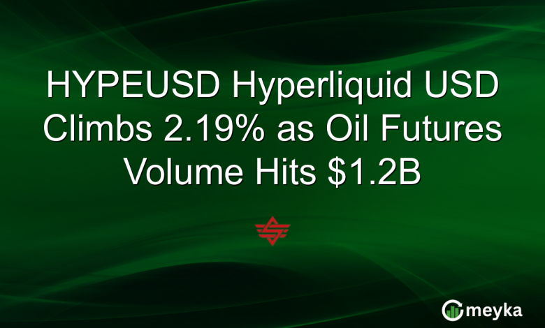 HYPEUSD Hyperliquid USD Climbs 2.19% as Oil Futures Volume Hits .2B