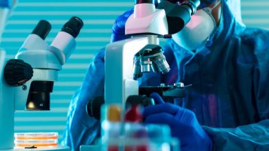 Medpace Holdings (MEDP) Could Be 5% Overvalued Following July 22 Earnings Optimism