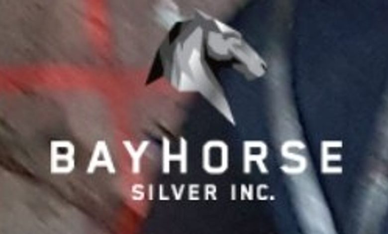 Bayhorse Silver Adopts Semi-Annual Financial Reporting