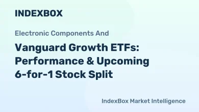 Vanguard S&P 500 & Mega-Cap Growth ETFs: Key Details & April 2026 Stock Split – News and Statistics