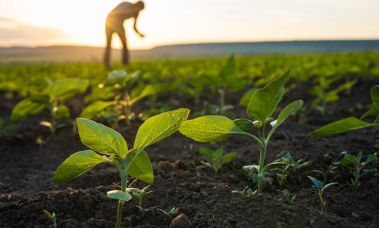 Syngenta mulls IPO, sees double-digit growth in biologicals Syngenta mulls IPO, sees double-digit growth in biologicals