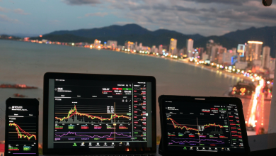 earnings momentum and US injectables footprint in fo