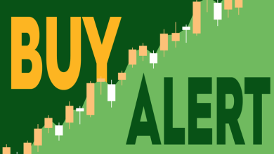 BCGM Wealth Opens .07 Million Stake in BlackRock’s Country-Rotation ETF