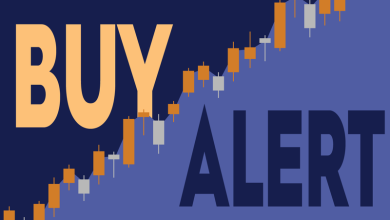 Security Financial Services Inc Opens iShares International Country Rotation ETF Stake Valued at  Million