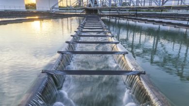 Should American Water’s Q1 Earnings, Dividend Hike and Service Investments Require Action From AWK Investors?