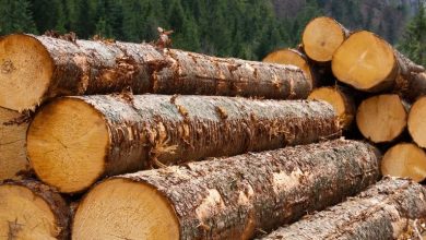 How Earnings Downgrades And Insider Buying At Louisiana-Pacific (LPX) Have Changed Its Investment Story