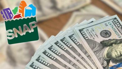SNAP Benefits July 2026: Check when your state sends food assistance payments