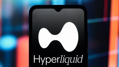 Why Hyperliquid’s HYPE Is Rising, Hint: It’s Not The ETF