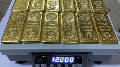 India’s Gold Market on Rise: Forecasted Trends and Economic Impacts