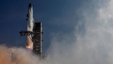 Gulf’s SpaceX investors could be set for windfall following IPO