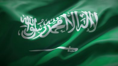 Power Metallic Mines enters strategic alliance with Amaar United Mining to pursue Saudi license opportunities