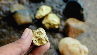 ASX 200 Gold Stocks and Mining Sector Trends