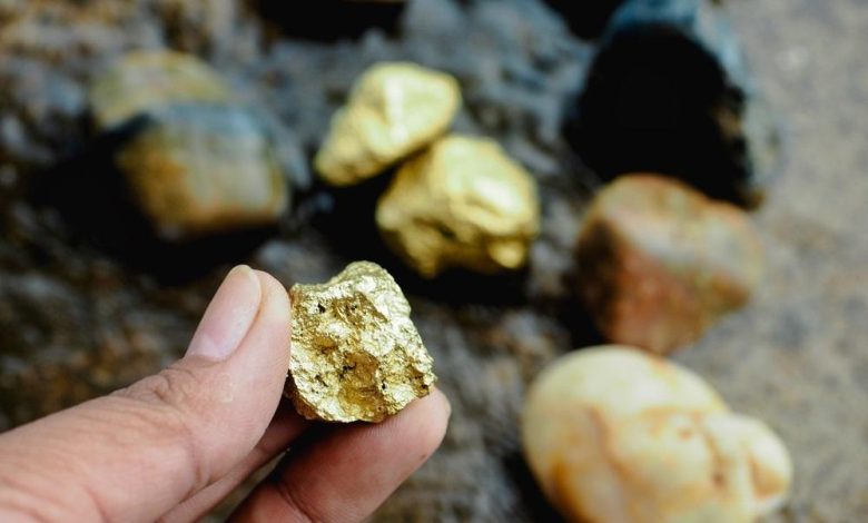 ASX 200 Gold Stocks and Mining Sector Trends