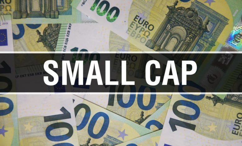 Small-Cap ETF Comeback? Here Are 4 Top Picks – iShares Russell 2000 Index Fund (ARCA:IWM)