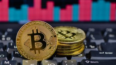 US Bitcoin ETFs Record Longest Inflow Streak Since 2025