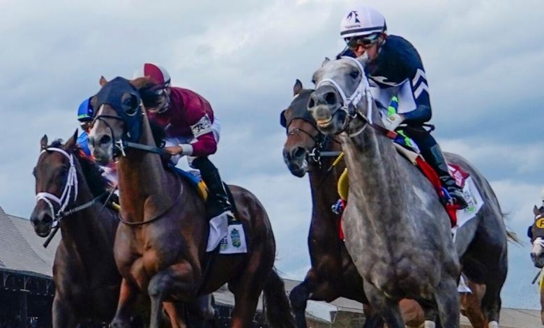2026 Belmont Stakes odds, horses, futures: Uncanny bettor releases picks, best bets