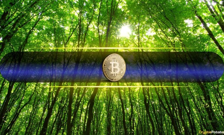 Bitcoin Price Pushes Above ,000 for First Time Since January Bitcoin Price Pushes Above ,000 for First Time Since January