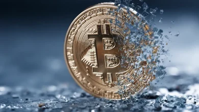 Bitcoin ETFs Post Ninth Straight Day of Outflows as IBIT Notches Near-Record Redemption