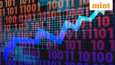 BSE share price hits record high, extending rally for second straight session after customs duty hike on gold, silver