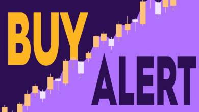 Is NIQ Global Intelligence Stock a Buy After Its CEO Purchased Shares Worth  Million?