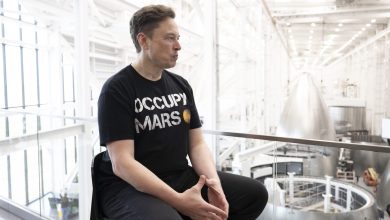 SpaceX IPO is Musk ‘referendum,’ say market watchers