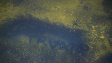Trump tries to blame Reflecting Pool woes on vandalism