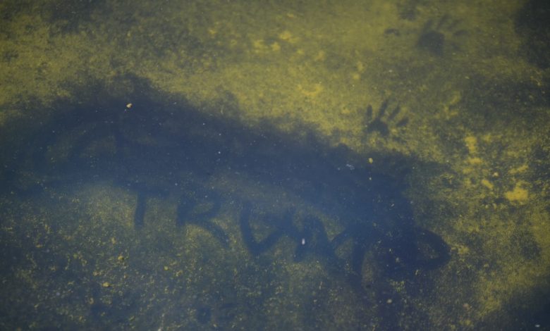Trump tries to blame Reflecting Pool woes on vandalism