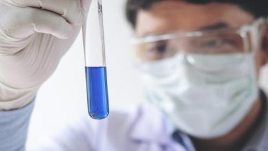 AbbVie and Merck Face-Off: Which Pharma Stock Has the Lead? – June 22, 2026
