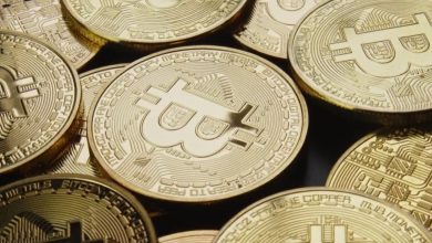 What a crypto mining center could mean for Starkville residents
