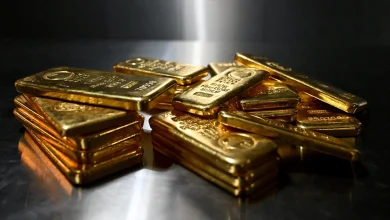Gold holds drop as US strikes in Iran cloud rate hike outlook