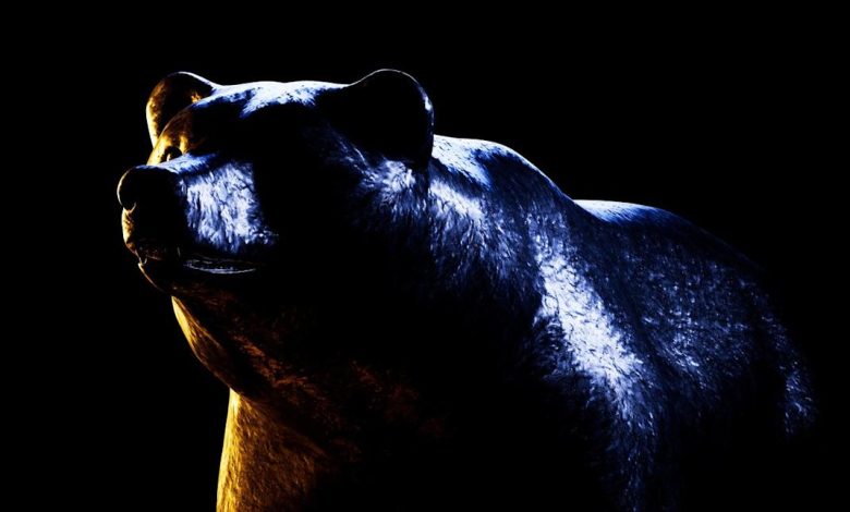 Higher Interest Rates May Be Coming. Here’s Why That’s Bearish for Crypto.